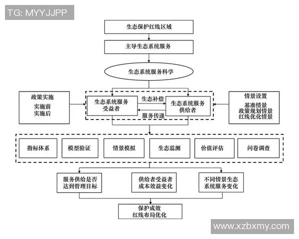 南京网球队在比赛中的盯防策略分析与成效评估