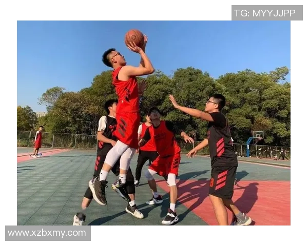 篮球纪实：记录深圳篮球队的奋斗经历